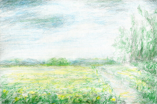 A dandelion field. Hand drawing with clolored pencils. Natural coloring