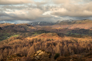 Majestic Winter landscape image view from Holme Fell in Lake District towards snow capped mountain ranges in distance in glorious evening light with Autumnal colors trees