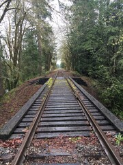 Fototapeta premium railway in the countryside