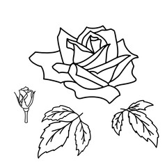 Vector set of outline blooming Rose petal, flower and leaves isolated on white background. Hand drawn rose decor elements. Floral silhouettes. Graphic elements for cut, print, logo, monograms.