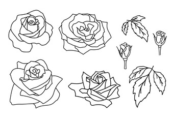 Vector set of outline blooming Rose petal, flower and leaves isolated on white background. Hand drawn rose decor elements. Floral silhouettes for cut, print, logo, monograms, wedding invitation, card.