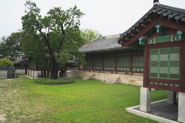 garden of Changdeokgung Palace in Seoul