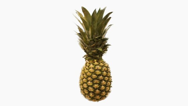 animation of one pineapple. Rotates. tropical fruit on green chroma key, with alpha channel. on black and white background. the concept of fresh harvest, healthy food, diet. 3D motion design.