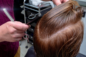 Naklejka premium Hairdresser trimming hair with scissors. Hairstyling in progress