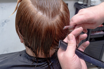 Fototapeta premium Hairdresser trimming hair with scissors. Hairstyling in progress