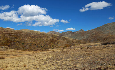 Fototapeta na wymiar Independence Pass, Colorado