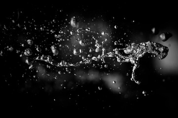 Water liquid splashing on isolated black background.