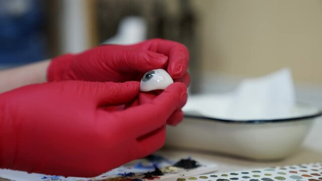 Ophtalmologist holds plastic eyeball in hands. Detailed model of eye. Selective focus on hands in red latex gloves.