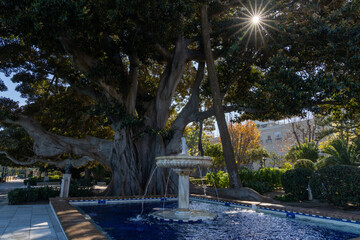 Alameda Apodaca y del Marqes de Comillas Garden in Cadiz