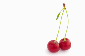 branch with two cherries. isolated on white background