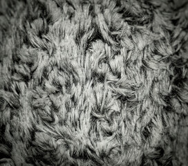 wool texture, fur gray background