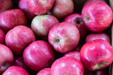 Close up of juicy red organic apples, at farmers market.
