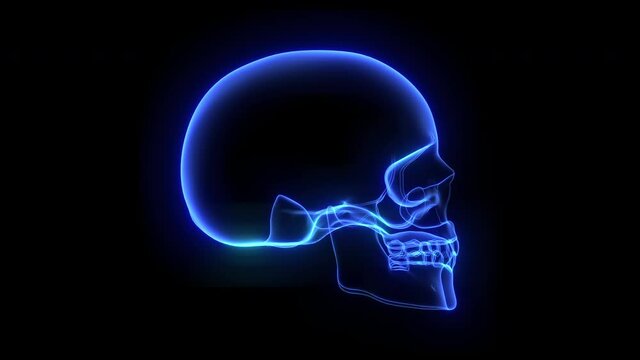 Holographic 3d image of human skull rotating against black background in seamless loop.