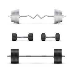 Set of dumbbells and barbells. Fitness and bodybuilding equipment. Vector