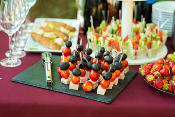 Fototapeta na wymiar Cheese canapes on a skewer with olive and tomato