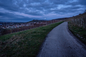 Fototapeta na wymiar Vineyard with road and moon