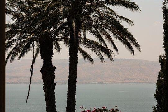 Views of the Sea of Galilee