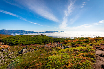 Fototapeta na wymiar 北海道・大雪山系の赤岳で見た、眼下に広がる紅葉と青空、迫り来る雲海