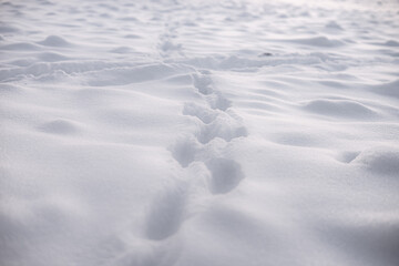 Footprints in the snow