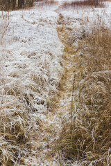 Frost hay landscape in winter nature