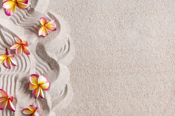 Fototapeta na wymiar Frangipani (Plumeria) Flowers on Sand, tropical background, copy space