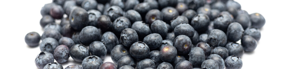 Background from black berries on a white background.