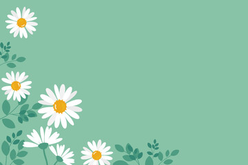 Daisy flower on green background vector illustration.