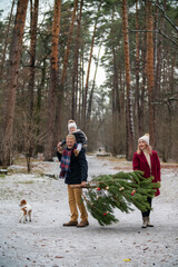 Fototapeta premium family carries a tree