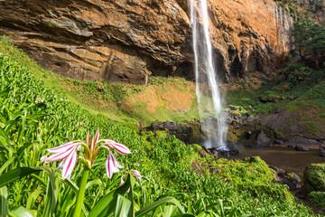 Waterfall, Sipi Falls, Uganda