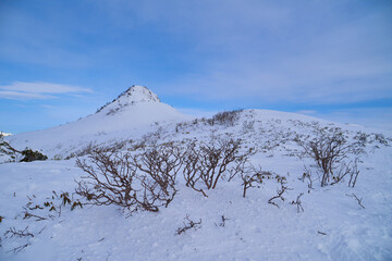Fototapeta na wymiar 群馬県利根郡の冬の武尊山に向かう途中の1950m付近から北側の剣ヶ峰山を見る