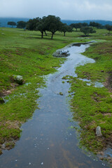 Parque Natural Sierra de Andújar, Jaen, Andalucía, España