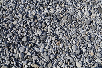 A closeup view of pebbles on a Welsh beach.