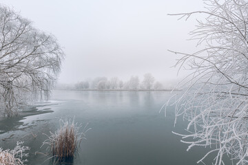 Winter landscape in soft blue tones with calm winter river lake, surrounded by frozen trees. Winter nature landscape with snowy frozen trees, beautiful frozen lake with reflection in water