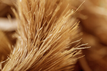 Macro texture of natural dry herbal tea