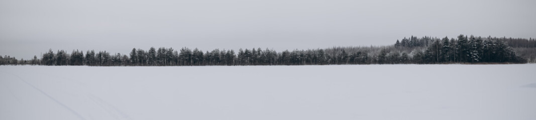 panoramic photos. Winter forest on background of a snow-covered lake