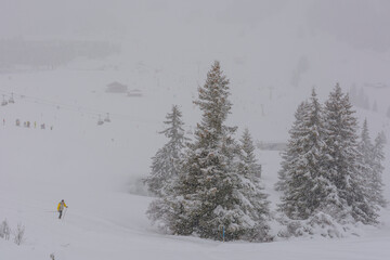 Camminare nella tempesta di neve