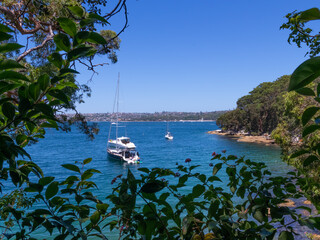 Glifton Gardens Beach Sydney NSW Australia turquoise blue colour of the ocean and greens colours of the surrounding bush land 