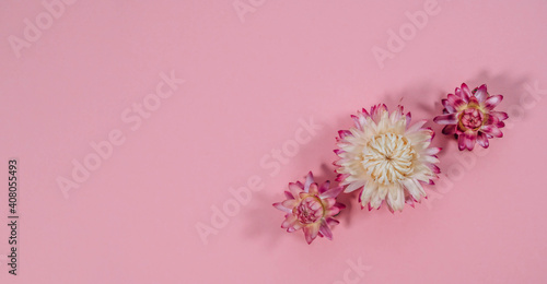 Creative layout made of dried straw flowers isolated on pink background.  Love concept. Mother's day background. Minimal concept flower background.
