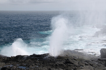 The geyser of the ocean in the Galapagos Islands