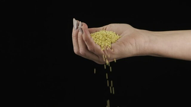 Slow motion. Millet grains fall from the palm of the woman.