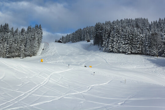 Beautiful mountain slope in wintertime with fresh ski tracks and snowy trees in the background(Filzmoos, Salzburg county, Austria)