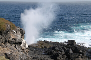 The geyser of the ocean in the Galapagos Islands