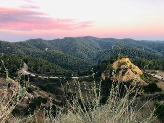 Collserola 