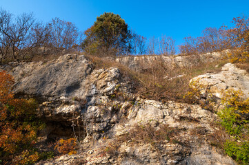 Fototapeta premium Autumn in the woods, immersed in magical yellow-orange foliage, green among the gray rocks. A beautiful branch of orange autumn leaves. Italian woods, Italy.