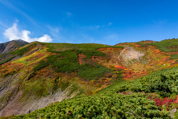 北海道の大雪山・赤岳で見た、紅葉や緑の植物が広がる風景と、その後ろにある快晴の青空