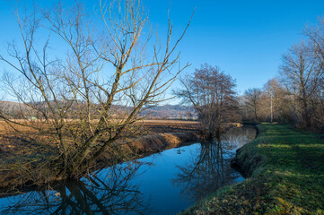 Detail of the northern Italian countryside, detail of the river and of the embankments where the trees are reflected in the river with the reflections of the sun on an autumn day, cold but with the su
