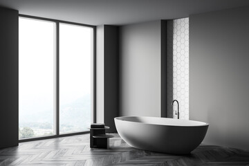 Fototapeta na wymiar Panoramic gray and white bathroom corner with tub