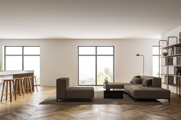Fototapeta na wymiar White living room with sofas and kitchen