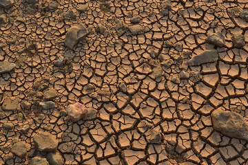Closeup shot of dried river under the sunlight