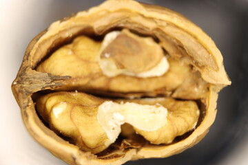 nut seed healthy natural food healthy shell